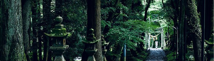 A forest path to a shrine